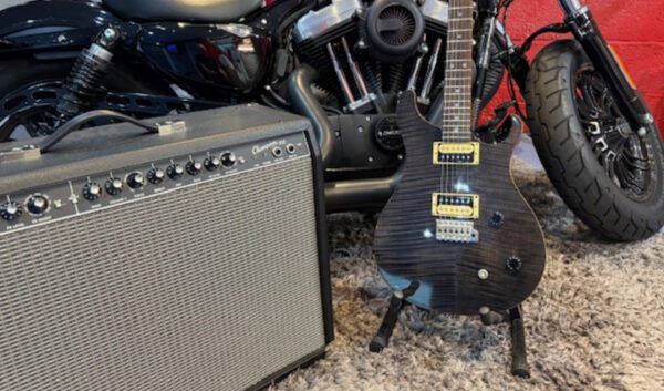 PRS SE CUSTOM - Image 2