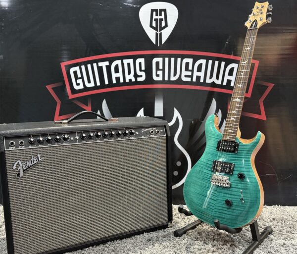 NEW PRS SE CUSTOM - Image 9