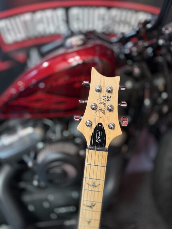 NEW PRS SWAMP ASH SPECIAL CHARCOAL - Image 9