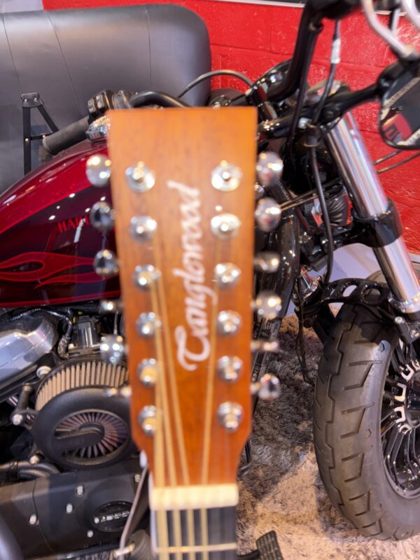 NEW TANGLEWOOD 12 STRING - Image 9