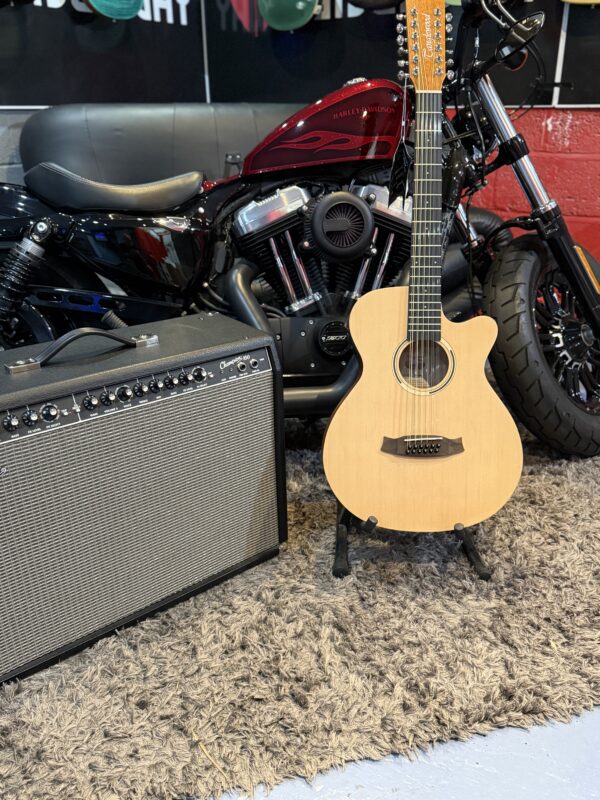 NEW TANGLEWOOD 12 STRING - Image 8