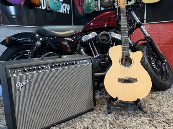 NEW TANGLEWOOD 12 STRING - Image 7
