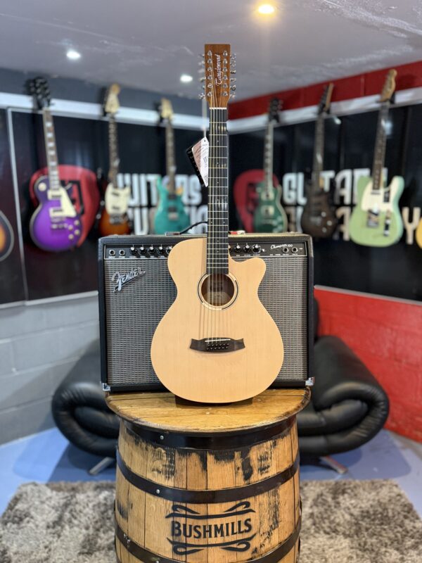 NEW TANGLEWOOD 12 STRING - Image 6