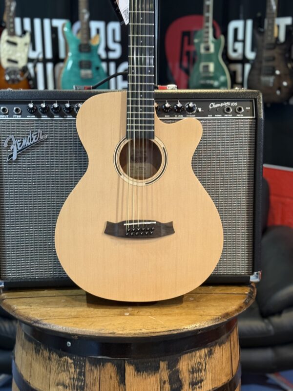 NEW TANGLEWOOD 12 STRING - Image 5