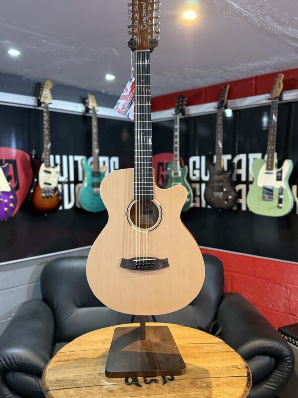 NEW TANGLEWOOD 12 STRING - Image 3