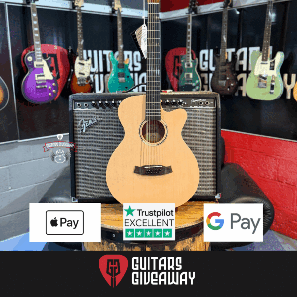 NEW TANGLEWOOD 12 STRING