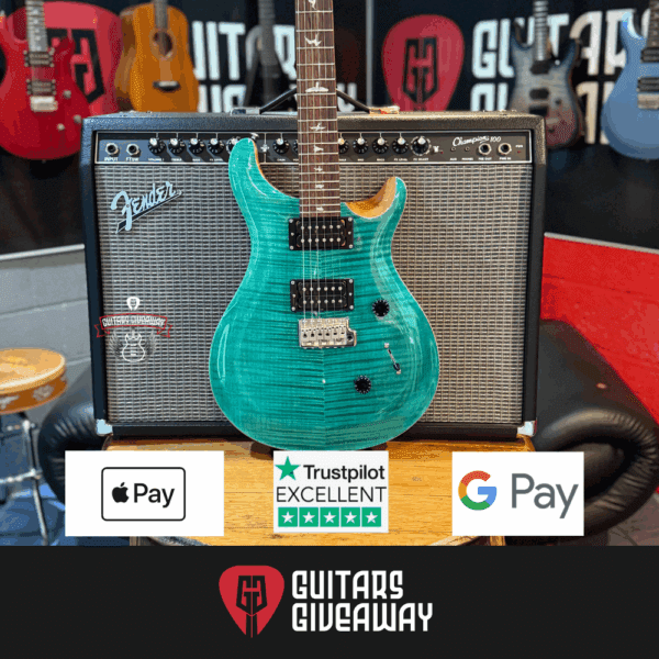 NEW PRS SE CUSTOM