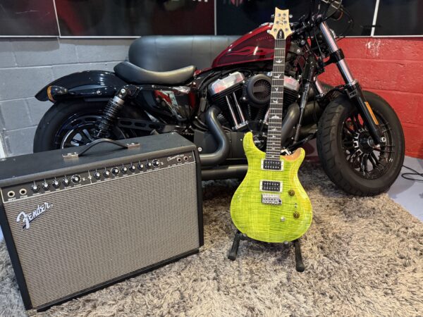 NEW PRS 24-08 ERIZA VERDE - Image 4