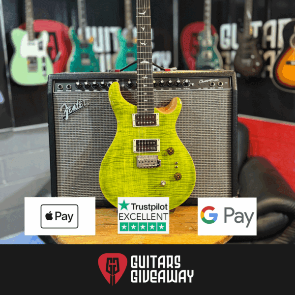 NEW PRS 24-08 ERIZA VERDE