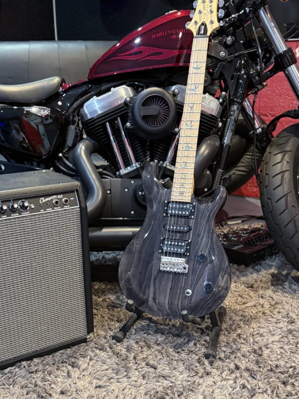 NEW PRS SWAMPASH SPECIAL - Image 9