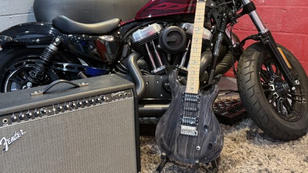 NEW PRS SWAMPASH SPECIAL - Image 8