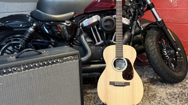 MARTIN ACOUSTIC 0X2E - Image 8