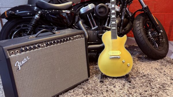 EPIPHONE BLUES POWER GOLD GLORY - Image 7