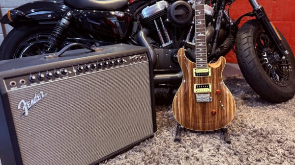 PRS SE Exotic Wood Custom 24 LTD Edition, Zebrawood - Image 9