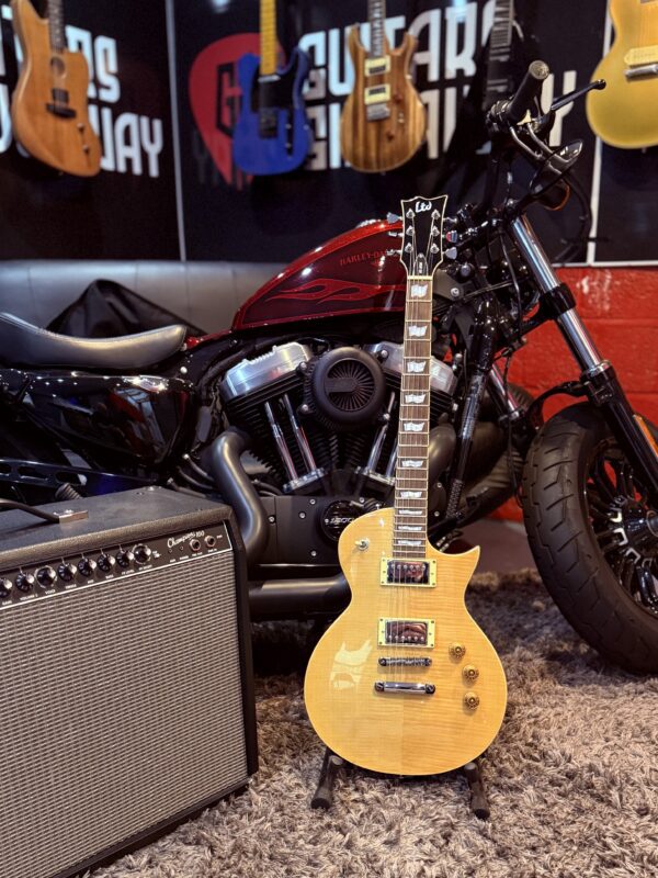 LTD ESP EC 256 IN NATURAL - Image 9