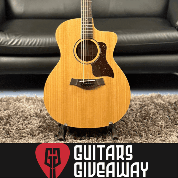 NEW TAYLOR ACOUSTIC