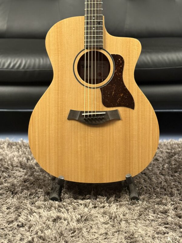 NEW TAYLOR ACOUSTIC - Image 9