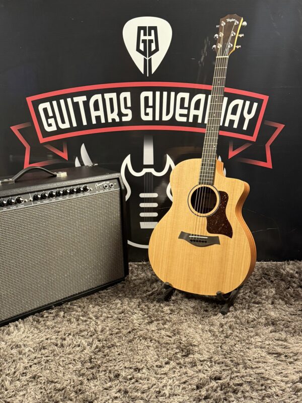 NEW TAYLOR ACOUSTIC - Image 6