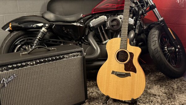NEW TAYLOR ACOUSTIC - Image 3